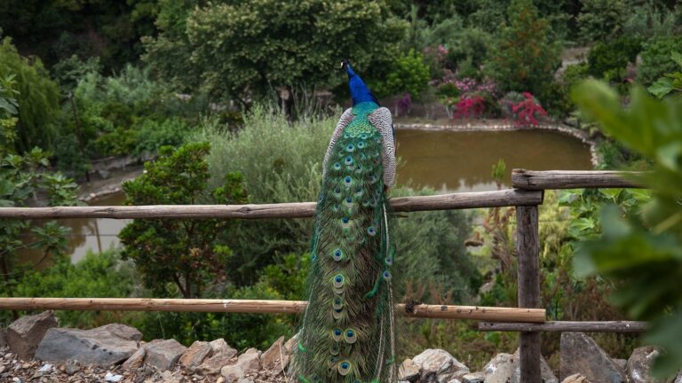 Botanical Park Chania